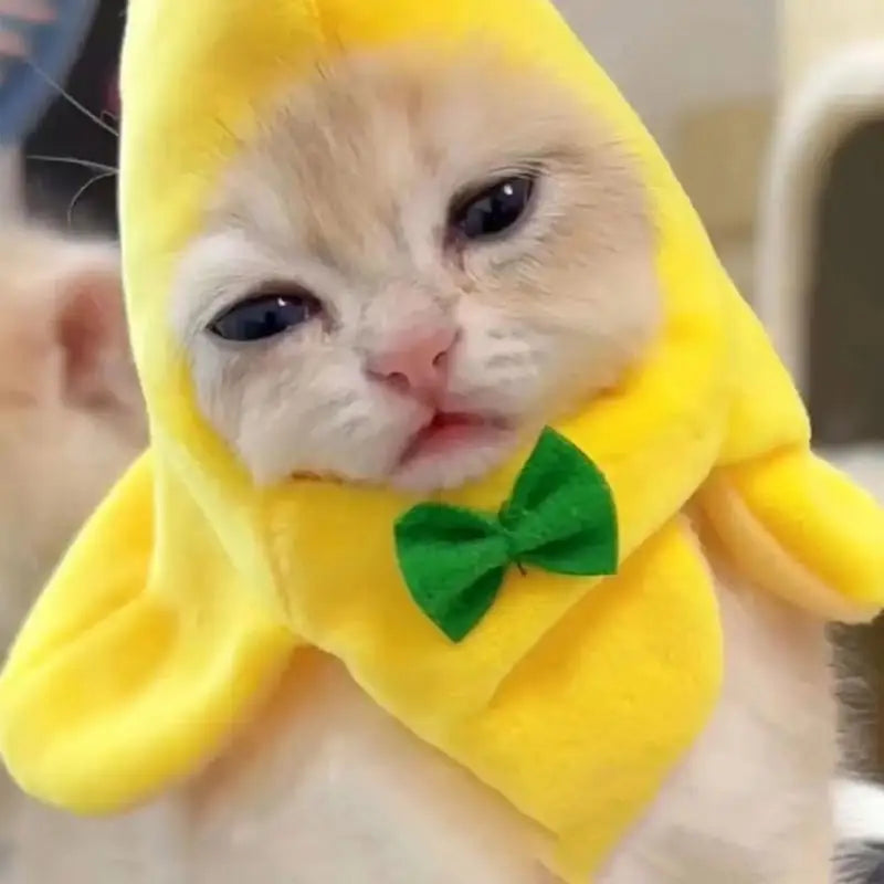 Pet Costume Hat Fruit Shaped Funny Banana Caps For Kitten Puppy Halloween Christmas Clothes Fancy Dress Party Pet Supplies