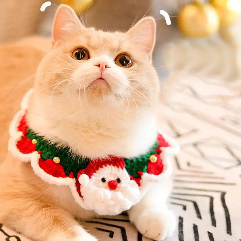 Pet Clothing