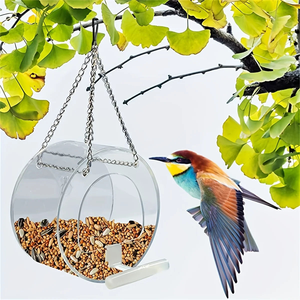 Pet Feeding