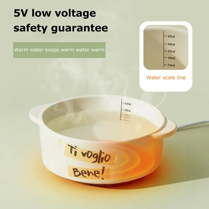 Heated Water Bowl For Cats Dogs Ceramics Heating Bowl Constant Temperature Automatic Waterer For Small Pet Rabbits Birds Chicken